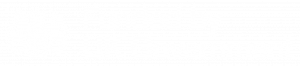 Townsfund logo (no background)